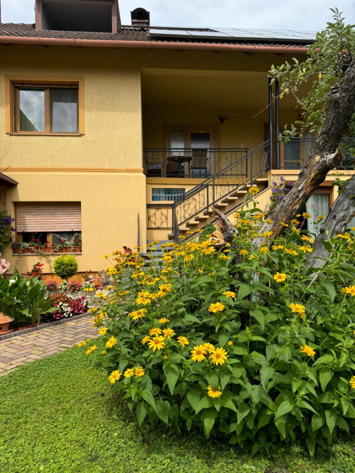 Rozsa Apartman 2 Alsoors Exterior photo